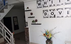 House White Dove